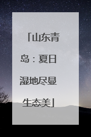 山东青岛：夏日湿地尽显生态美
