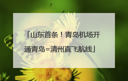 山东首条！青岛机场开通青岛=清州直飞航线