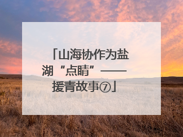 山海协作为盐湖“点睛”——援青故事⑦