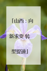 山西：向新求变 转型提速