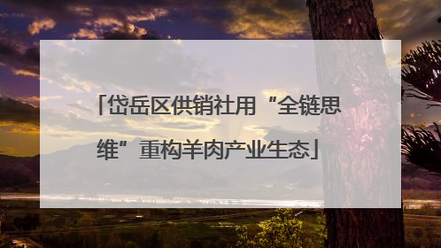 岱岳区供销社用“全链思维”重构羊肉产业生态