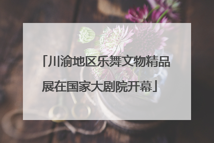 川渝地区乐舞文物精品展在国家大剧院开幕