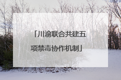 川渝联合共建五项禁毒协作机制