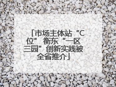 市场主体站“C位” 衡东“一区三园”创新实践被全省推介