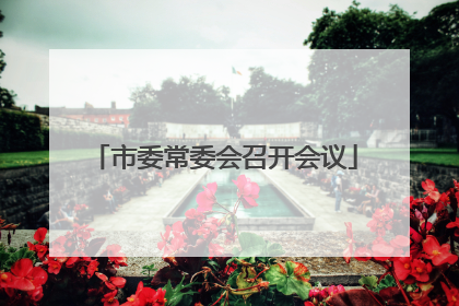 市委常委会召开会议