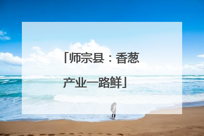 师宗县：香葱产业一路鲜