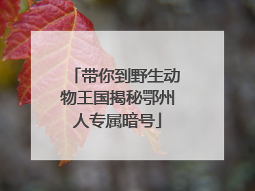 带你到野生动物王国揭秘鄂州人专属暗号
