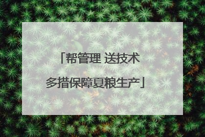 帮管理 送技术 多措保障夏粮生产