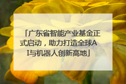 广东省智能产业基金正式启动，助力打造全球AI与机器人创新高地