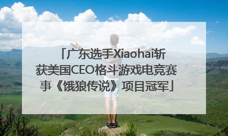 广东选手Xiaohai斩获美国CEO格斗游戏电竞赛事《饿狼传说》项目冠军