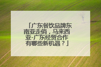 广东餐饮品牌东南亚走俏，马来西亚-广东经贸合作有哪些新机遇？