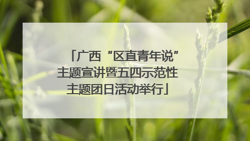 广西“区直青年说”主题宣讲暨五四示范性主题团日活动举行