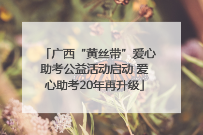 广西“黄丝带”爱心助考公益活动启动 爱心助考20年再升级