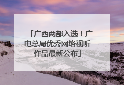 广西两部入选！广电总局优秀网络视听作品最新公布