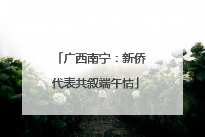 广西南宁：新侨代表共叙端午情