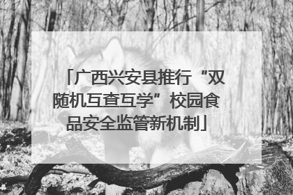 广西兴安县推行“双随机互查互学”校园食品安全监管新机制