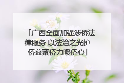 广西全面加强涉侨法律服务 以法治之光护侨益聚侨力暖侨心