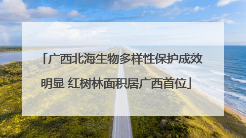 广西北海生物多样性保护成效明显 红树林面积居广西首位