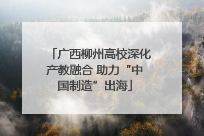 广西柳州高校深化产教融合 助力“中国制造”出海