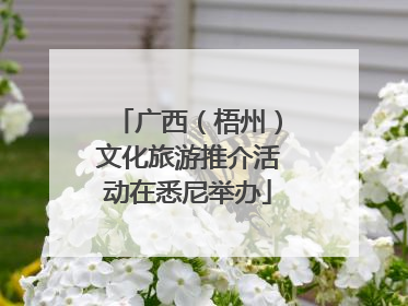 广西（梧州）文化旅游推介活动在悉尼举办