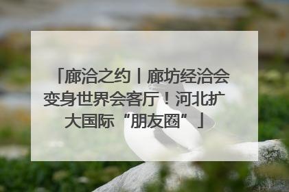 廊洽之约丨廊坊经洽会变身世界会客厅！河北扩大国际“朋友圈”