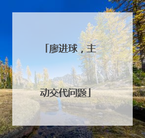 廖进球，主动交代问题