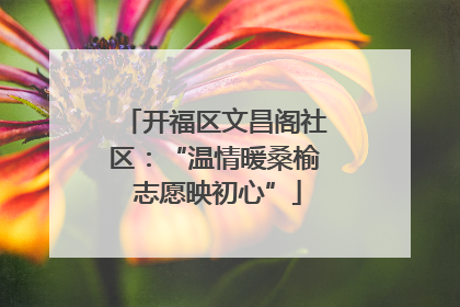 开福区文昌阁社区：“温情暖桑榆 志愿映初心”