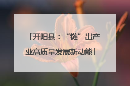 开阳县：“链”出产业高质量发展新动能