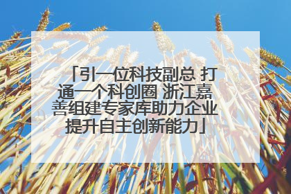 引一位科技副总 打通一个科创圈 浙江嘉善组建专家库助力企业提升自主创新能力