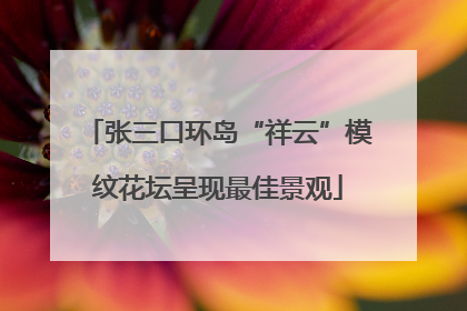 张三口环岛“祥云”模纹花坛呈现最佳景观