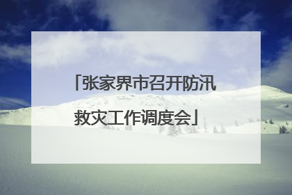 张家界市召开防汛救灾工作调度会