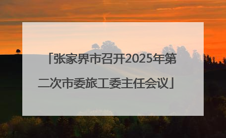 张家界市召开2025年第二次市委旅工委主任会议