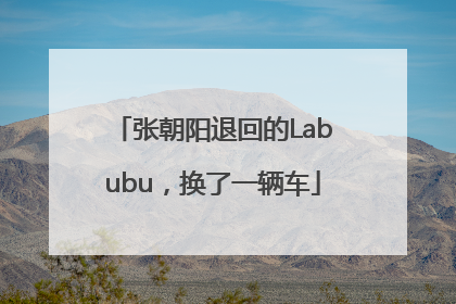 张朝阳退回的Labubu，换了一辆车