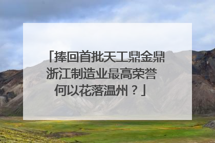 捧回首批天工鼎金鼎 浙江制造业最高荣誉何以花落温州？