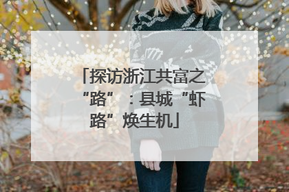 探访浙江共富之“路”：县城“虾路”焕生机