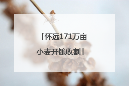 怀远171万亩小麦开镰收割