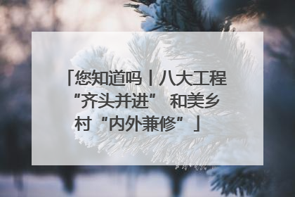 您知道吗丨八大工程“齐头并进” 和美乡村“内外兼修”