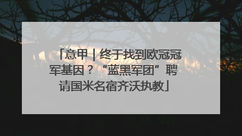 意甲｜终于找到欧冠冠军基因？“蓝黑军团”聘请国米名宿齐沃执教