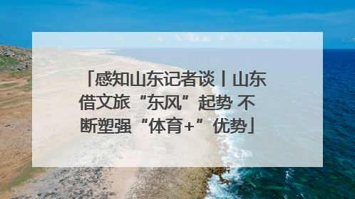 感知山东记者谈丨山东借文旅“东风”起势 不断塑强“体育+”优势