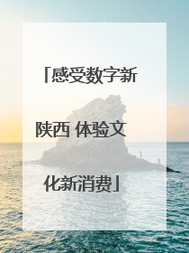 感受数字新陕西 体验文化新消费