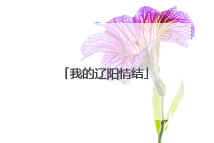 我的辽阳情结