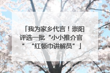 我为家乡代言！崇阳评选一批“小小推介官”“红领巾讲解员”