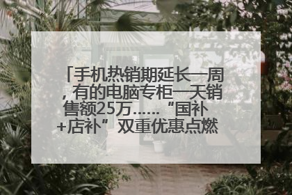 手机热销期延长一周，有的电脑专柜一天销售额25万……“国补+店补”双重优惠点燃德州“考后经济”