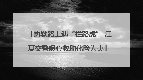 执勤路上遇“拦路虎” 江夏交警暖心救助化险为夷