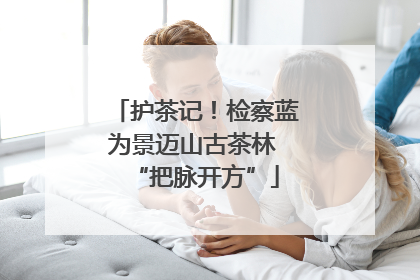 护茶记！检察蓝为景迈山古茶林 “把脉开方”