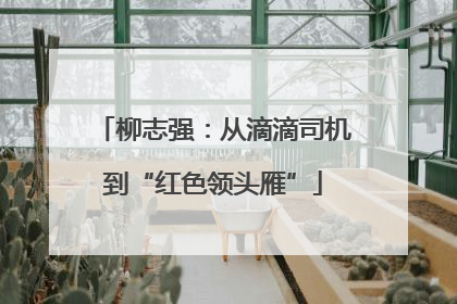 柳志强：从滴滴司机到“红色领头雁”