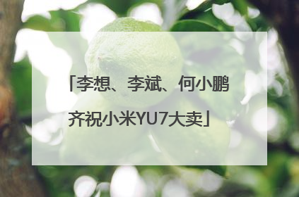 李想、李斌、何小鹏齐祝小米YU7大卖