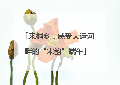 来桐乡，感受大运河畔的“宋韵”端午