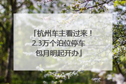 杭州车主看过来！2.3万个泊位停车包月明起开办