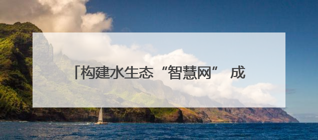 构建水生态“智慧网” 成都青羊“智能哨兵”上岗